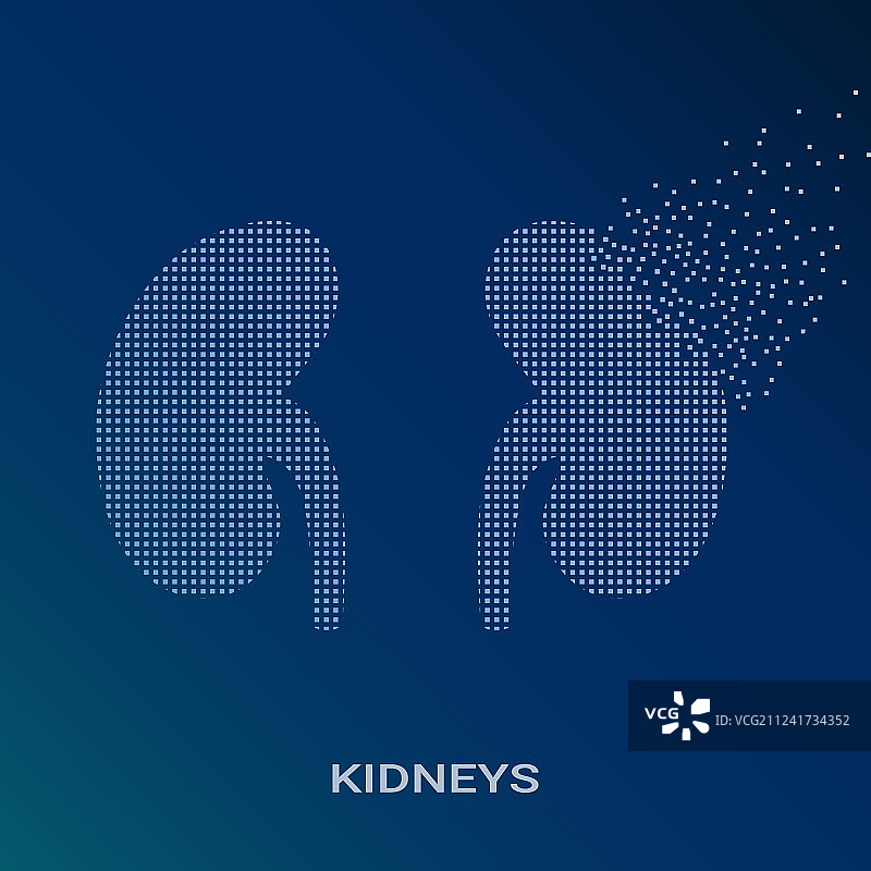 人类肾脏抽象概念图图片素材
