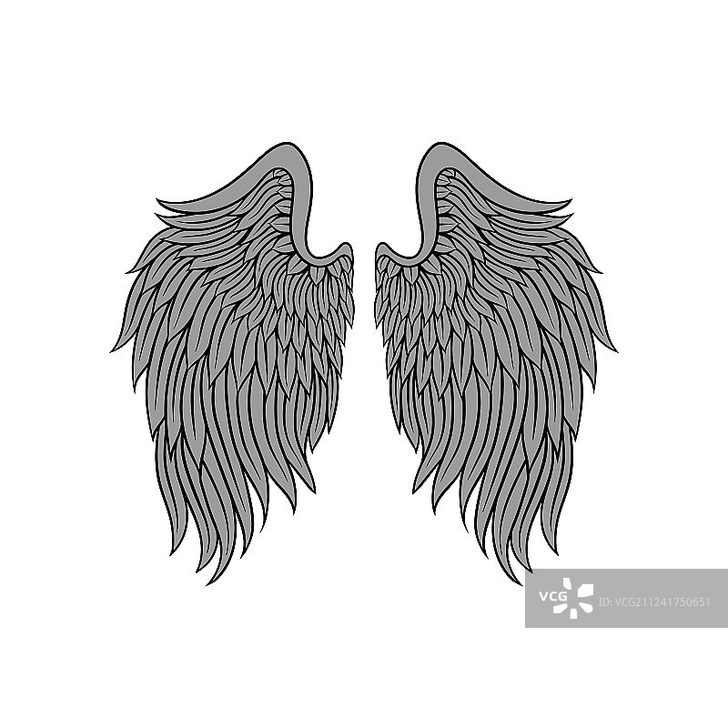 带有灰色羽毛和黑色的大型展开天使翅膀图片素材