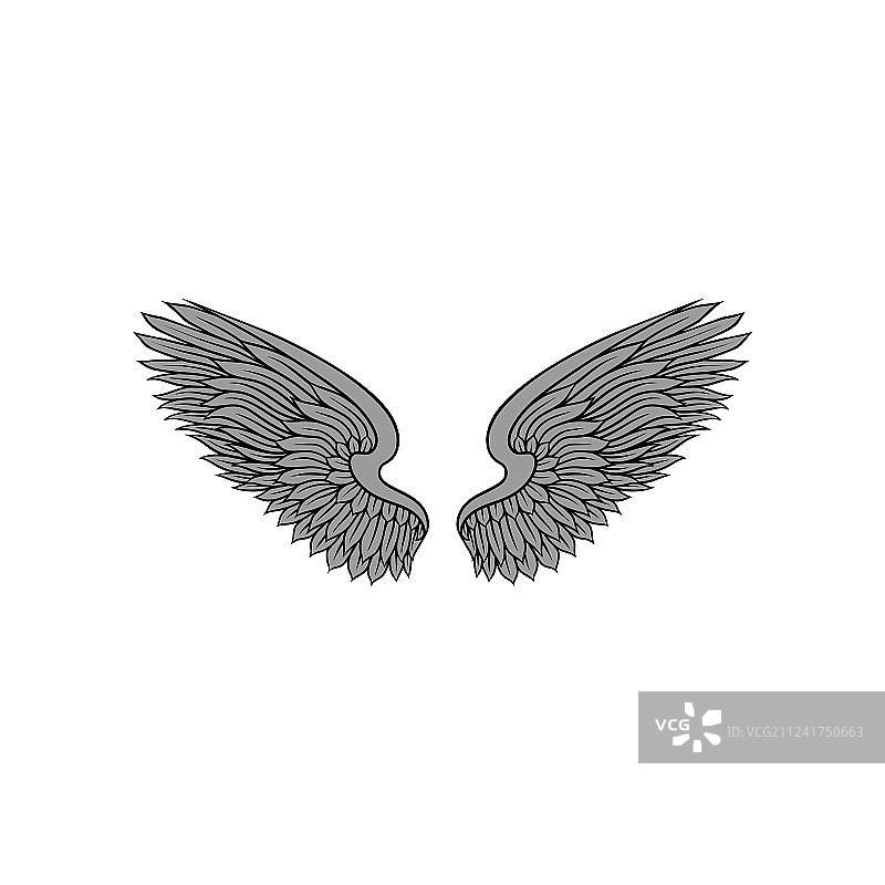 张开的灰色羽毛鸟或天使翅膀图片素材