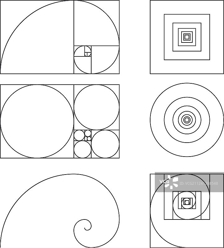 黄金比例斐波那契模板图片素材