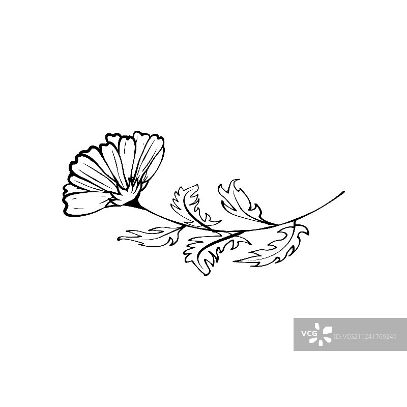 手绘花朵图片素材