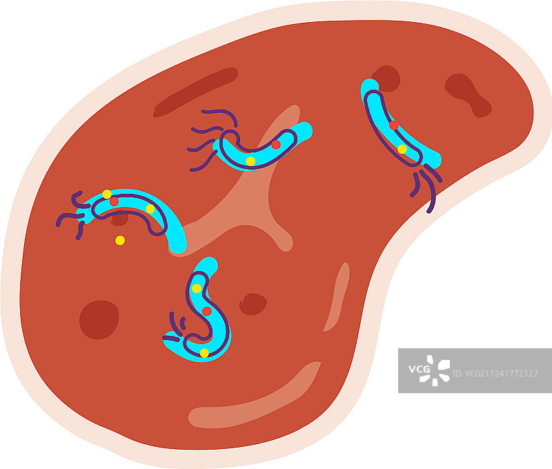 沙门氏菌肉卡通图片素材