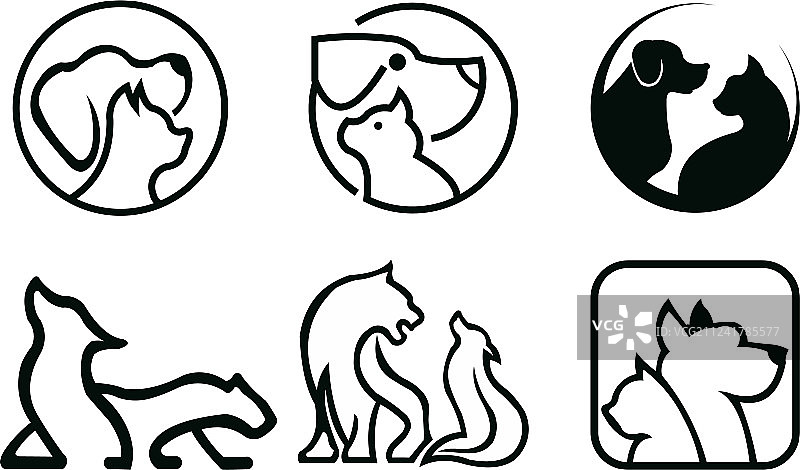 宠物猫狗护理图片素材