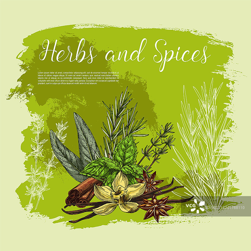 香料和草药调味料海报图片素材