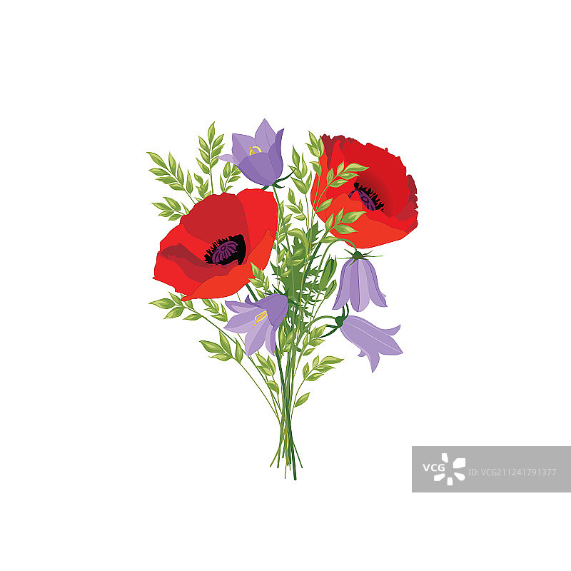 孤立的夏季花束草地鲜花图片素材