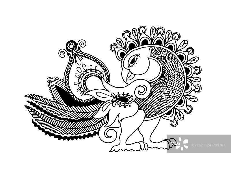 手绘佩斯利孔雀鸟草图图片素材