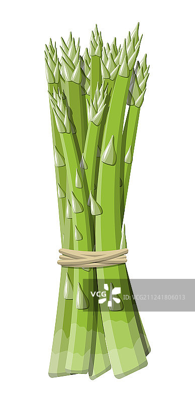 白色背景上的芦笋蔬菜茎图片素材