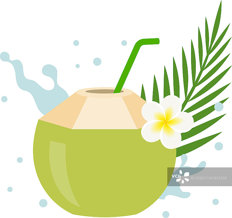 椰子汁与鸡蛋花图片素材