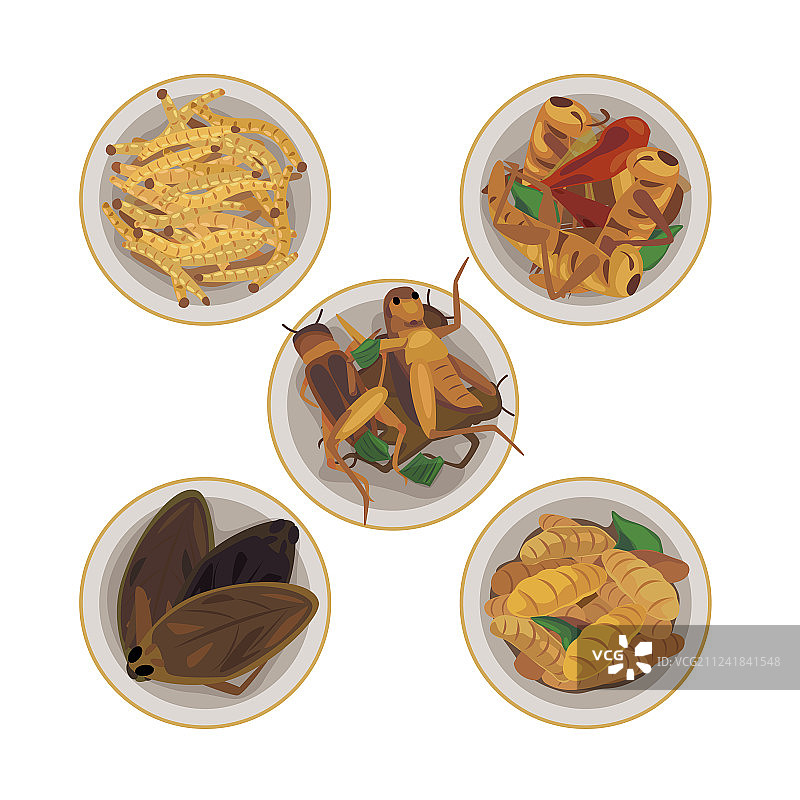 昆虫食物图片素材