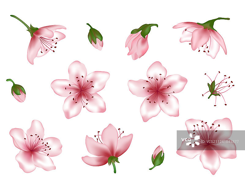 春日粉色花卉组合图片素材