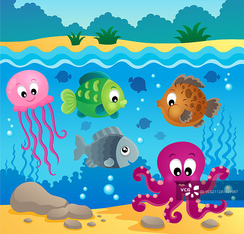 水下海洋动物主题1图片素材