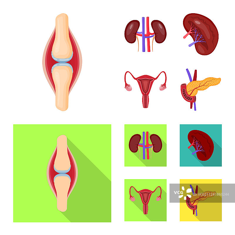 生物科学图标图片素材