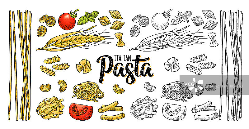 各种意大利面和通心粉图片素材