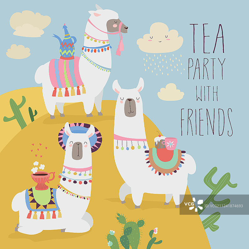 可爱墨西哥白羊驼饮水图片素材