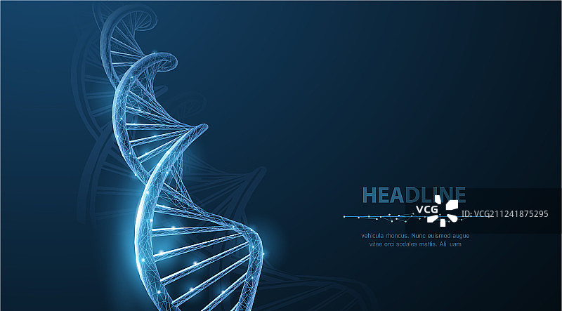 DNA抽象3D多边形线框DNA分子图片素材