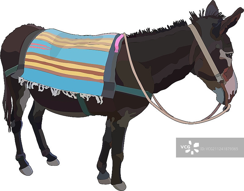 带地毯的逼真驴图片素材
