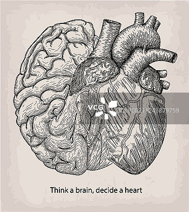 半脑与手组成的爱心图片素材