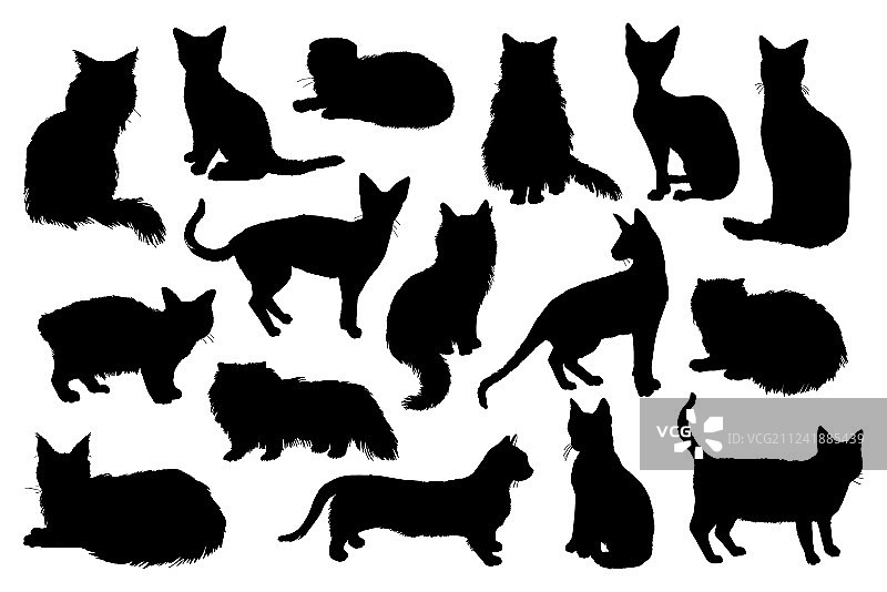 16款手绘猫咪剪影图片素材
