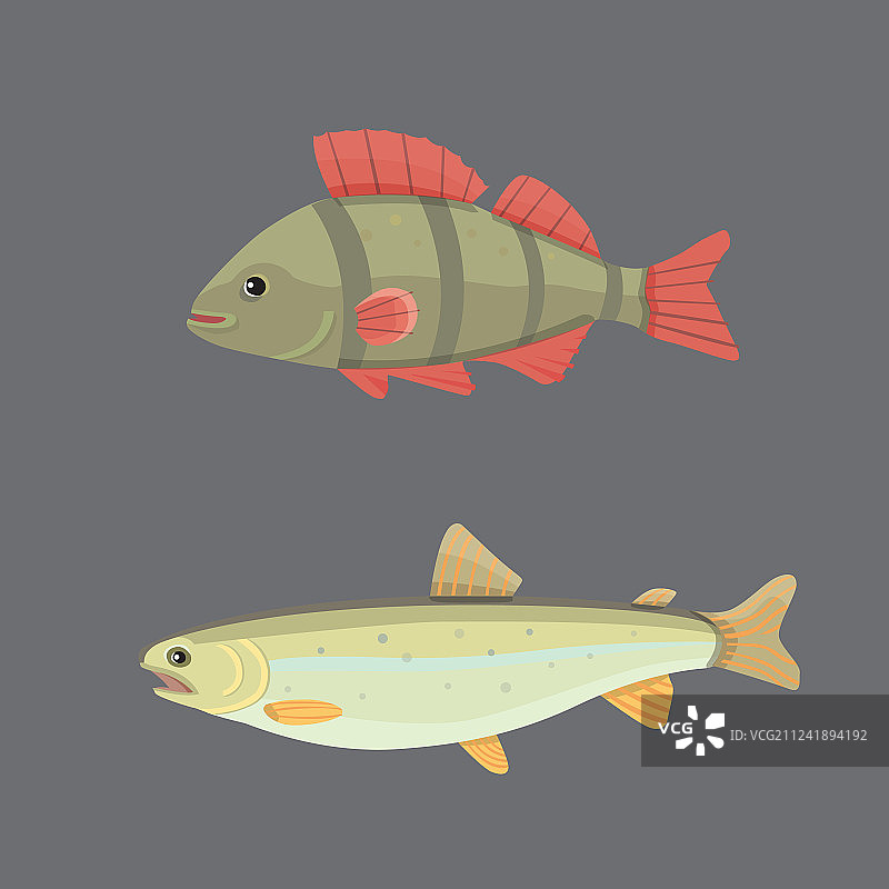 淡水卡通鱼类组合图片素材