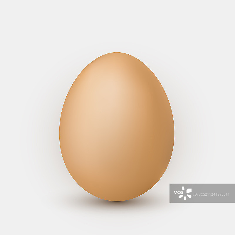 白色背景上的棕色鸡蛋图片素材