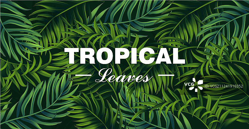 热带树叶卡片逼真细节3D效果图片素材