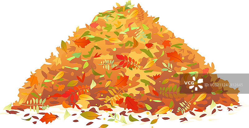 一堆落叶图片素材