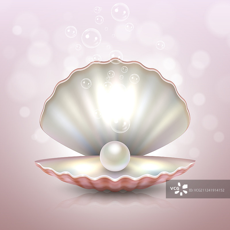 逼真的美丽天然开放海珍珠贝壳图片素材