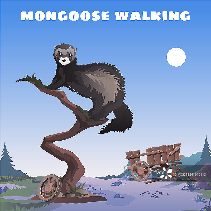 狂野西部风格的可爱海报：行走的猫鼬图片素材