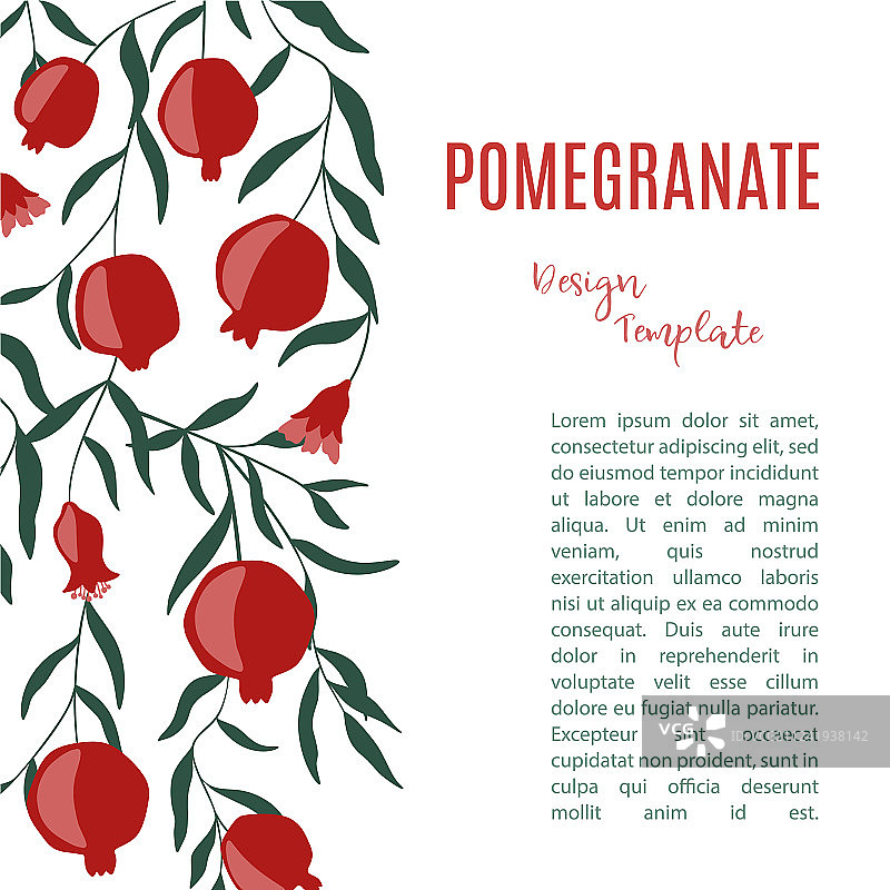 手绘石榴果设计模板图片素材