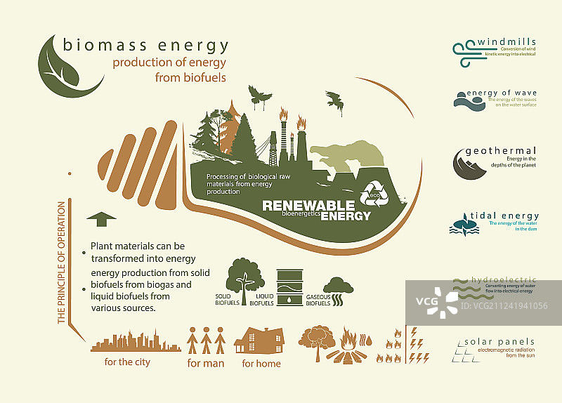 生物质能源可再生资源信息图图片素材