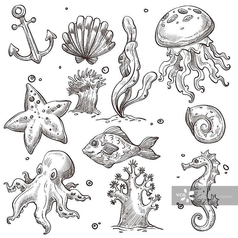海底鱼类和生物隔离素描图片素材