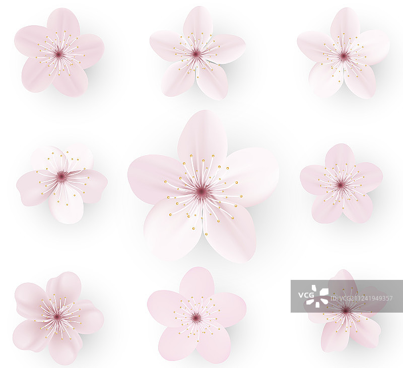 逼真的日本樱花图片素材