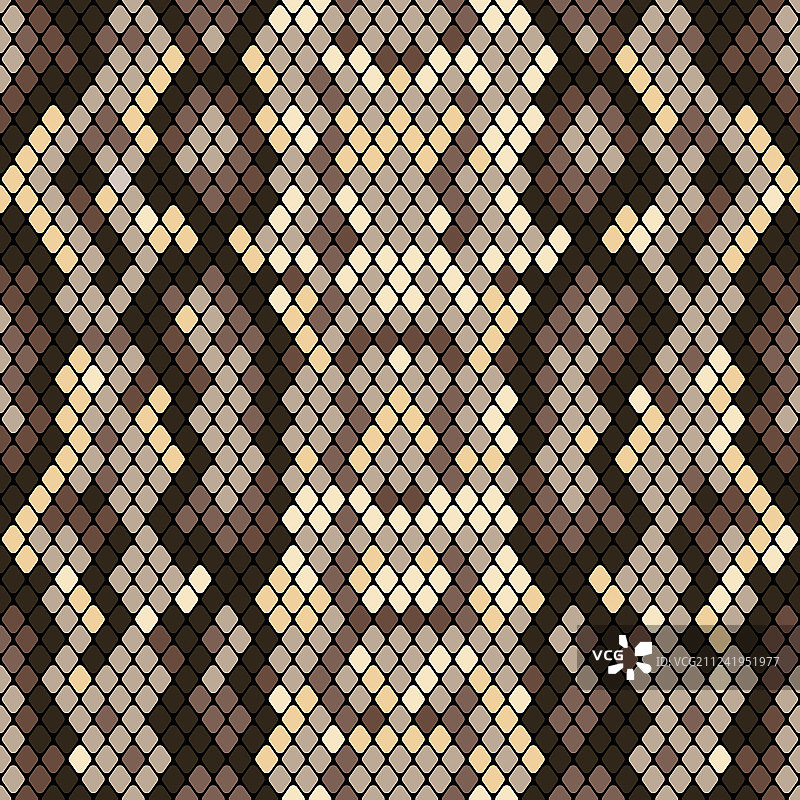 逼真蛇皮无缝纹理图案图片素材
