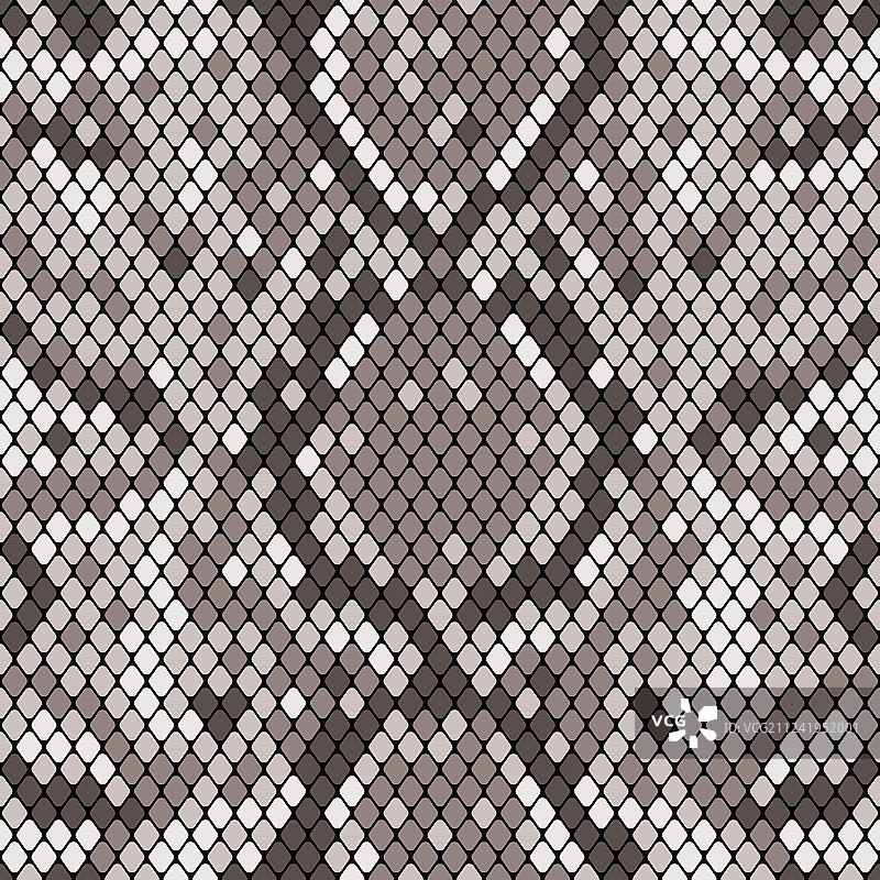 逼真蛇皮无缝纹理图案图片素材