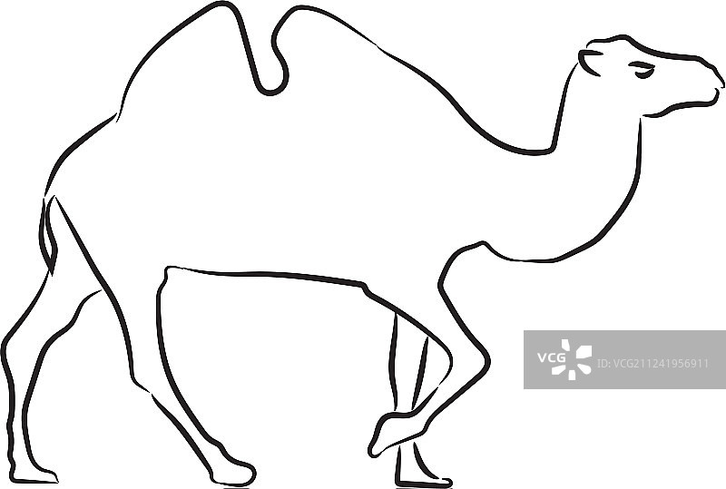 手绘风格骆驼素描剪影图片素材