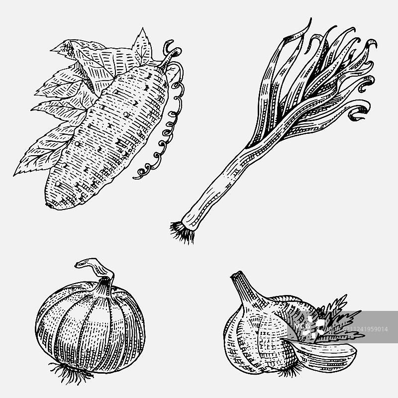 手绘雕刻蔬菜素材图片素材