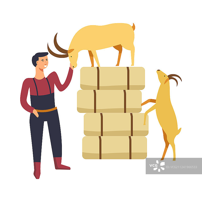 农场主饲养山羊图片素材