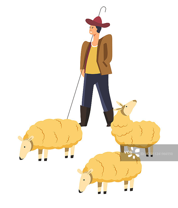 绵羊、家养宠物和微笑的牧羊人图片素材