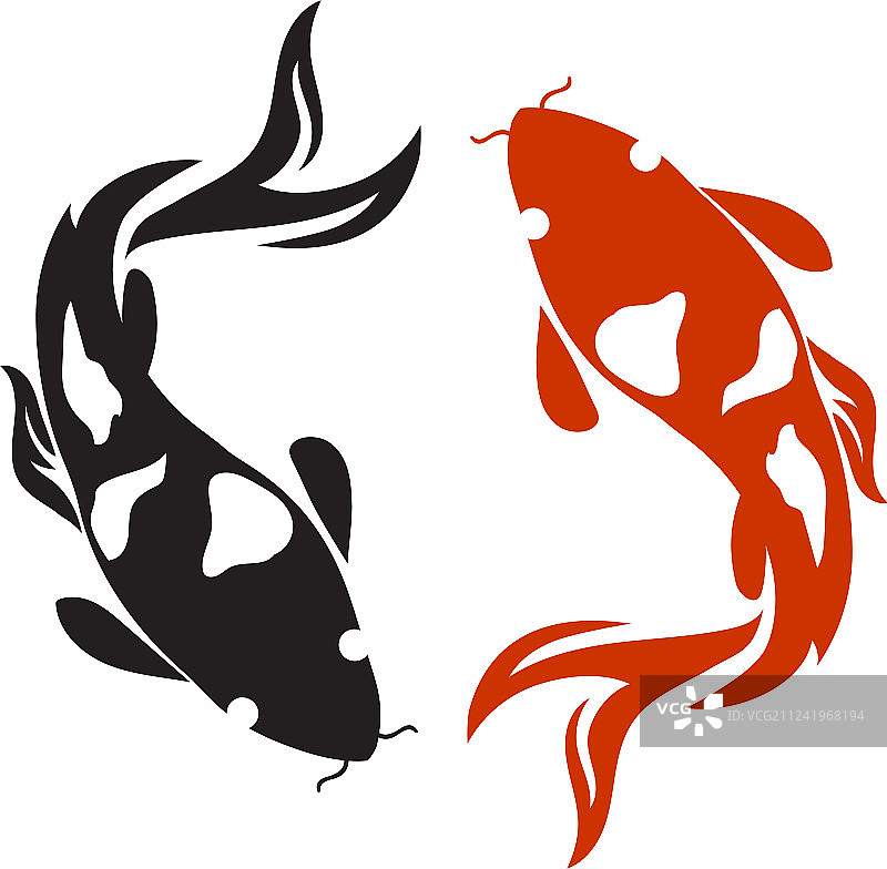 白色背景上的鲤鱼设计，动物鱼类图片素材