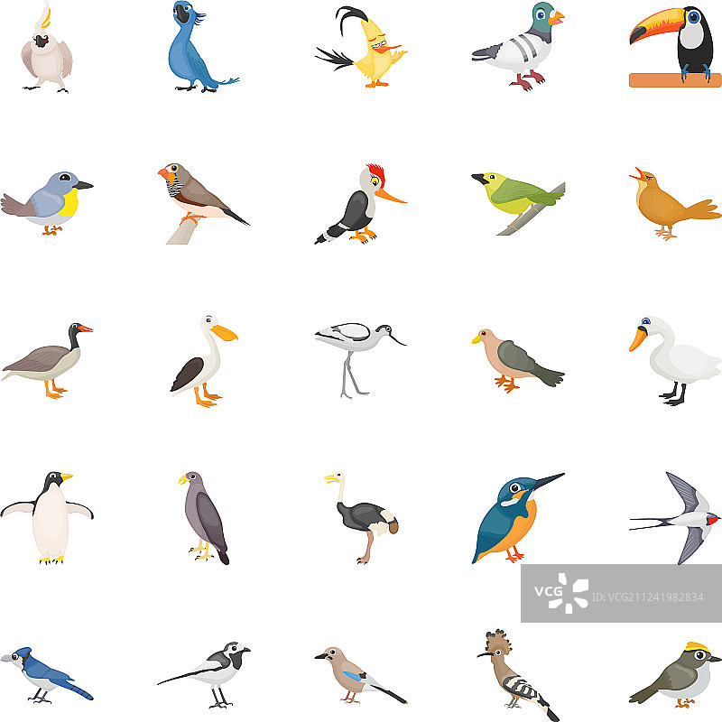 卡通鸟类扁平化合集图片素材