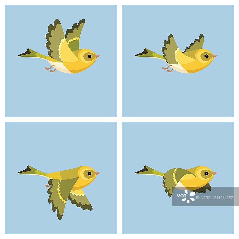 飞行中的欧洲金翅雀雌性动画精灵图片素材