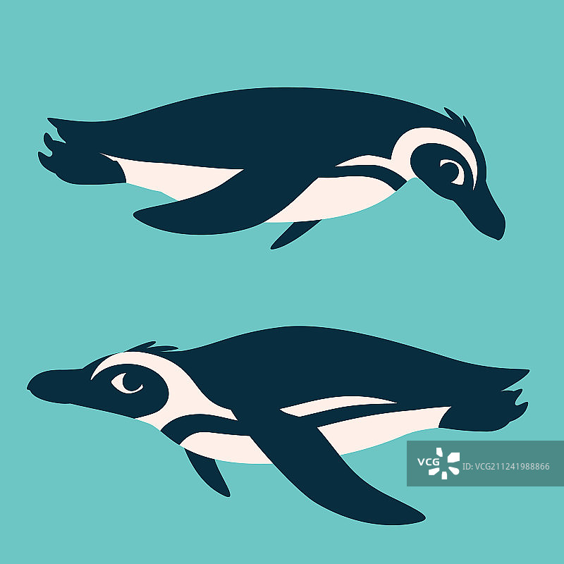 可爱的南极企鹅在水下游泳图片素材