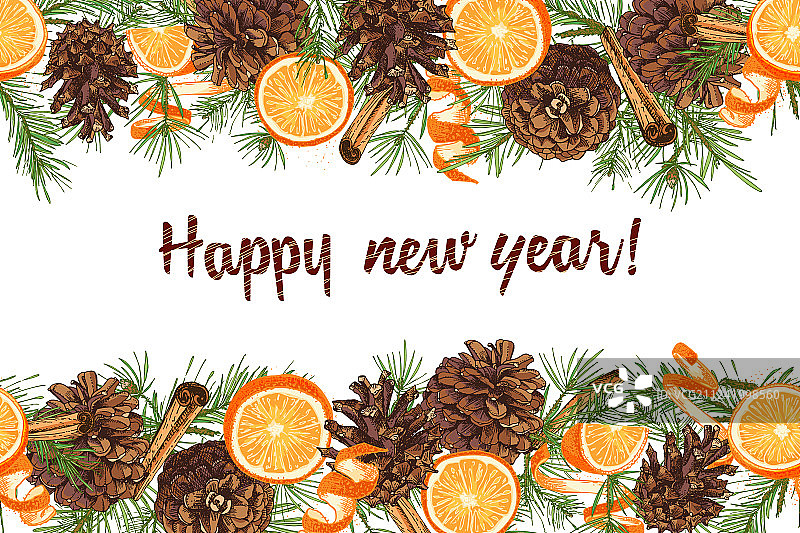 彩色冷杉的逼真植物墨水草图图片素材