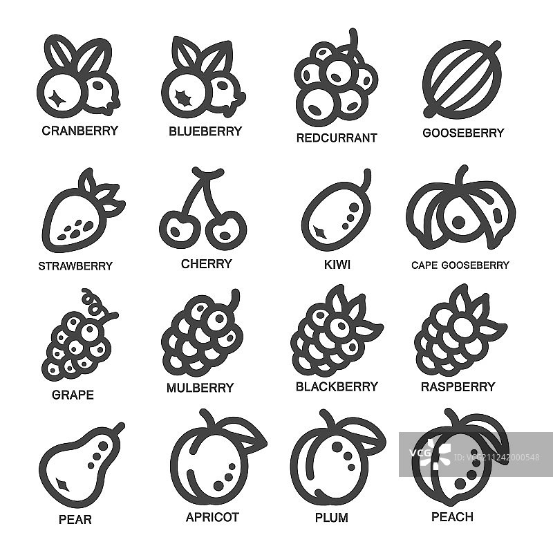 水果细线条图标图片素材