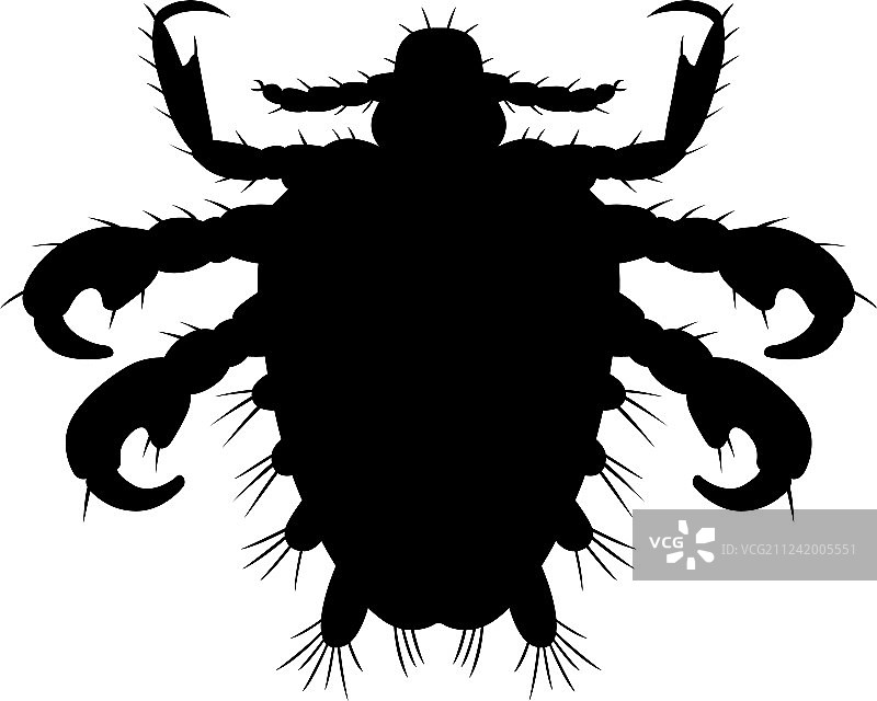 蟹虱图片素材