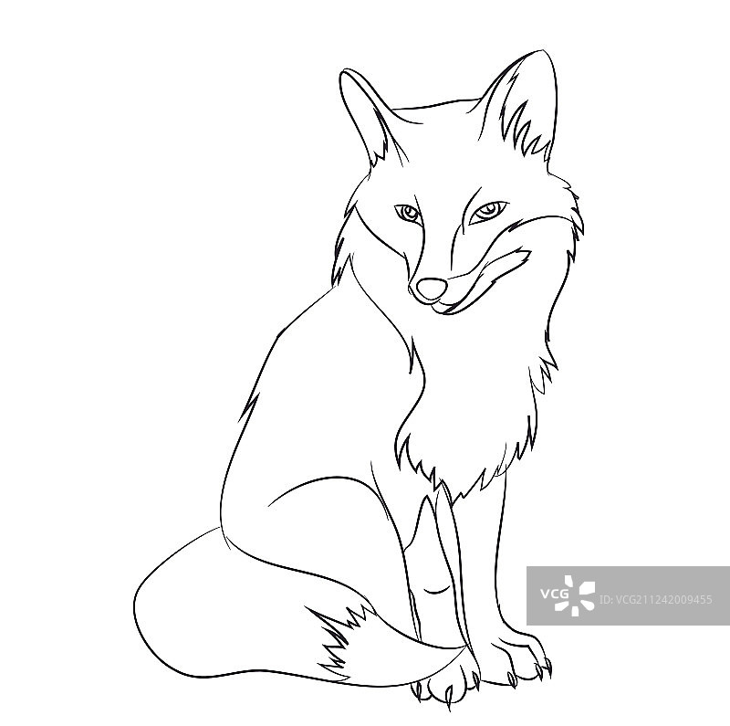 狐狸坐姿线条画图片素材