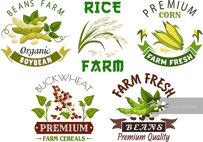 蔬菜谷物豆类农场标志设计图片素材
