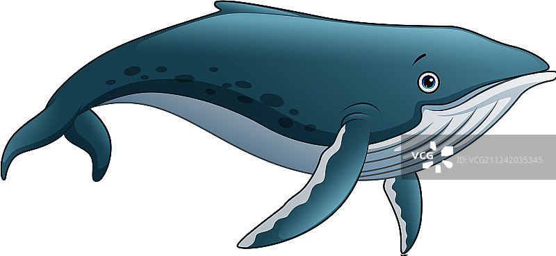 卡通抹香鲸图片素材