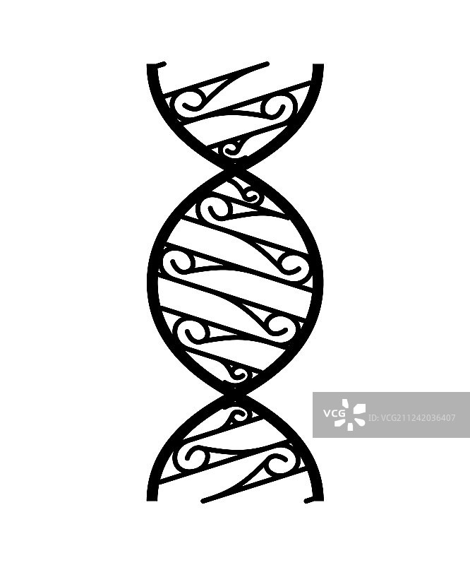 白色背景上分离的抽象DNA链符号图片素材