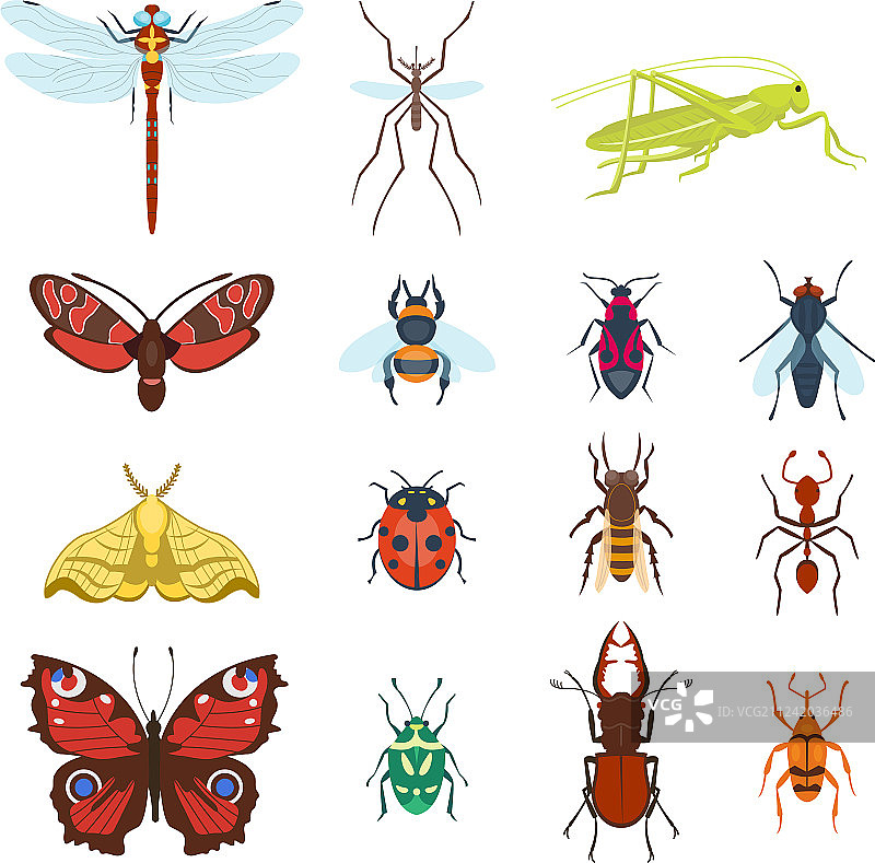 白色背景上隔离的彩色俯视昆虫图标图片素材